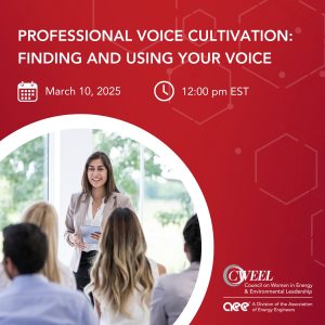 Finding your professional voice
